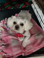 processed/8c1a2e81-920e-4b36-b569-855450be6007/facility/6280a916-1c56-4091-9d66-992af7be056b