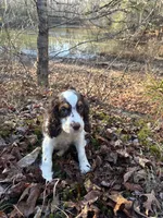 processed/8c1b8772-2d62-47d9-a62b-4c9e0315efea/listing/0f637bdb-6b98-445c-bca4-c5cd6b738260/3d474132-e879-4cb4-b4c4-2c239d95e922