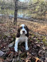 processed/8c1b8772-2d62-47d9-a62b-4c9e0315efea/listing/0f637bdb-6b98-445c-bca4-c5cd6b738260/504ef27b-0fe3-4ead-bc0d-7794faa0d4a3