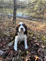 processed/8c1b8772-2d62-47d9-a62b-4c9e0315efea/listing/0f637bdb-6b98-445c-bca4-c5cd6b738260/a29144ac-69ae-4423-82bd-b331b65277a4