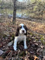 processed/8c1b8772-2d62-47d9-a62b-4c9e0315efea/listing/0f637bdb-6b98-445c-bca4-c5cd6b738260/aac6512f-37e0-4e94-8ffb-430deccf39ab