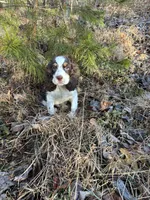 processed/8c1b8772-2d62-47d9-a62b-4c9e0315efea/listing/1b234e33-c816-4e76-9427-882e86358d48/b0b30229-59e8-4cd6-8367-e2c56547c11d