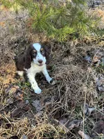 processed/8c1b8772-2d62-47d9-a62b-4c9e0315efea/listing/1b234e33-c816-4e76-9427-882e86358d48/f94ea2f5-c639-4a13-ad76-b7d13ddeab14