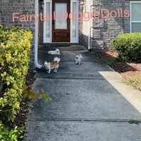 processed/8c20f172-a679-4910-9988-a281b8da09e1/facility/2395c793-4b3e-4513-b60a-2e2fbe02cb83