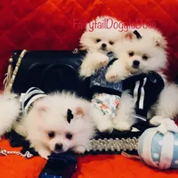 processed/8c20f172-a679-4910-9988-a281b8da09e1/facility/a1b55eb6-cb3f-4b0a-86b7-0a8f1d56fd1f