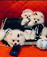 processed/8c20f172-a679-4910-9988-a281b8da09e1/facility/a1b55eb6-cb3f-4b0a-86b7-0a8f1d56fd1f