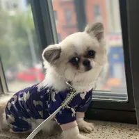 processed/8c20f172-a679-4910-9988-a281b8da09e1/facility/ad8017aa-026d-47f4-8ae6-d806373807cd