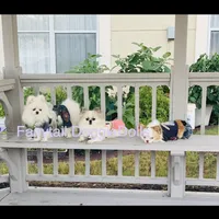 processed/8c20f172-a679-4910-9988-a281b8da09e1/facility/df0497ec-80fd-4f7e-a211-cb0eab46206b