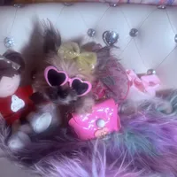 Micro Miss Muffet , a female Pomeranian and Poodle - Toy  for sale in New York City, NY – Photo 1 of 9