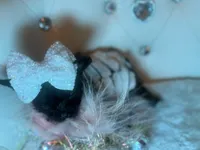 processed/8c20f172-a679-4910-9988-a281b8da09e1/listing/0744a33e-c204-49bc-baba-61bb3989ca2f/1457a284-e8d0-48c4-a4b4-7697e2b8d0f0