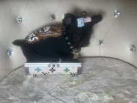 processed/8c20f172-a679-4910-9988-a281b8da09e1/listing/0744a33e-c204-49bc-baba-61bb3989ca2f/a3aeedc8-fd3e-4848-9540-08e5cc35da68