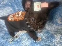 processed/8c20f172-a679-4910-9988-a281b8da09e1/listing/0744a33e-c204-49bc-baba-61bb3989ca2f/a9546e8a-aa16-45d7-9281-82c05476ddbd