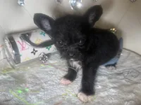 processed/8c20f172-a679-4910-9988-a281b8da09e1/listing/0744a33e-c204-49bc-baba-61bb3989ca2f/ac278c4c-22b4-4a11-b0fb-d161b214b90a