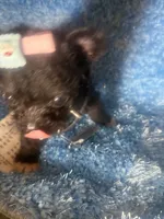 processed/8c20f172-a679-4910-9988-a281b8da09e1/listing/0744a33e-c204-49bc-baba-61bb3989ca2f/c5d33734-31ff-4da1-80e6-93c8c4477538