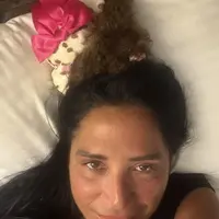 🐻 Micro Teddy Glams, a female Pomeranian and Poodle - Toy  for sale in New York City, NY – Photo 9 of 10