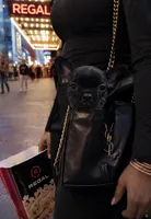 💝 Pocket  Teacup Velvet 🐾, a female French Bulldog and Pomapoo for sale in New York City, NY – 2 of 3