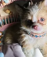 processed/8c20f172-a679-4910-9988-a281b8da09e1/listing/442e24fe-62fb-40a4-826a-228fd3c00287/1a71aaef-f1d8-4606-b899-f364f82a1ee2