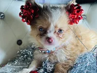 processed/8c20f172-a679-4910-9988-a281b8da09e1/listing/442e24fe-62fb-40a4-826a-228fd3c00287/2e5eb765-2907-4fbc-9ae2-095b40feb64d