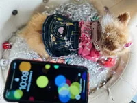 processed/8c20f172-a679-4910-9988-a281b8da09e1/listing/442e24fe-62fb-40a4-826a-228fd3c00287/9ed2eeee-2754-42a8-ac44-6825b2700d46