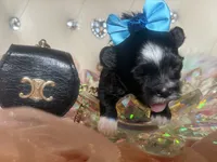 processed/8c20f172-a679-4910-9988-a281b8da09e1/listing/4cd2f196-1ed1-48c8-b26b-e16fbc005910/091bf10b-863a-4a5f-b1aa-64ba08e5c423