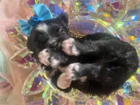 processed/8c20f172-a679-4910-9988-a281b8da09e1/listing/4cd2f196-1ed1-48c8-b26b-e16fbc005910/db9cd8b4-be80-480b-adb9-aa83ea94eff6