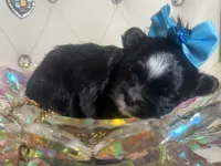 processed/8c20f172-a679-4910-9988-a281b8da09e1/listing/4cd2f196-1ed1-48c8-b26b-e16fbc005910/f58f0a31-b4de-42e0-8ab4-6c8121f8fd4e