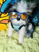 processed/8c20f172-a679-4910-9988-a281b8da09e1/listing/5c791a81-66a7-405b-888c-31a4484b4cea/0dd73664-3d99-4601-85b9-a94a8829ba00