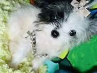 processed/8c20f172-a679-4910-9988-a281b8da09e1/listing/5c791a81-66a7-405b-888c-31a4484b4cea/694348f5-01b2-416a-a12f-24d8b05e9f81