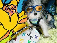 processed/8c20f172-a679-4910-9988-a281b8da09e1/listing/5c791a81-66a7-405b-888c-31a4484b4cea/81349c02-4a97-454c-a290-9155649ee945