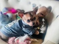 processed/8c20f172-a679-4910-9988-a281b8da09e1/listing/7af751f8-e92d-4f9a-ac24-ddc918ee1852/54f53fc2-ea4d-445d-bfaa-1a885d4cb9c6