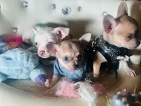 processed/8c20f172-a679-4910-9988-a281b8da09e1/listing/7af751f8-e92d-4f9a-ac24-ddc918ee1852/62ee34ed-623b-453c-a367-192316f6722f