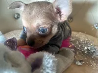 processed/8c20f172-a679-4910-9988-a281b8da09e1/listing/7af751f8-e92d-4f9a-ac24-ddc918ee1852/e35f7a4e-0421-41da-a15b-f4b1a5c43f78