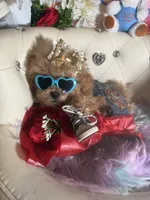 🐻  TCup Teddy DeLuxe, a male Poodle - Toy  for sale in New York City, NY – 1 of 5