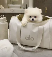 🍦 Micro Mr.Softee 🍦, a male Pomeranian for sale in New York City, NY – 1 of 8