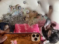 Exotic Pocket Paisley, a female French Bulldog and Poodle - Toy  for sale in New York City, NY – Photo 7 of 8