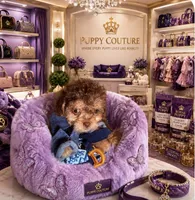 🧸Rare Phantom Tiny  Denim 🐾, a male Poodle - Toy  for sale in New York City, NY – 1 of 8