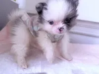 processed/8c20f172-a679-4910-9988-a281b8da09e1/listing/a1ae014a-2058-402b-980c-14c78c4afea5/371a8fa1-492f-4f2f-9293-54160813eeb9