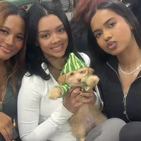 650$✌️ Tcup Honest John , a male Pomapoo for sale in New York City, NY – Photo 2 of 10