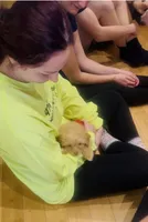 🍭 Teacup Honest John , a male Pomapoo for sale in New York City, NY – Photo 3 of 7