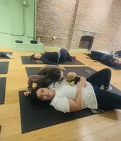 Teacup Hermes , a male Pomapoo for sale in New York City, NY – Photo 4 of 8