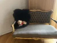 Teacup Hermes , a male Pomapoo for sale in New York City, NY – Photo 7 of 8