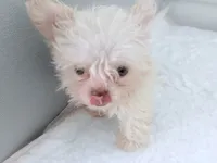 processed/8c20f172-a679-4910-9988-a281b8da09e1/listing/fe41f79d-c313-4c13-a90e-78f182693a19/c31732a5-0c56-48ef-bcc7-399e13f53e0d