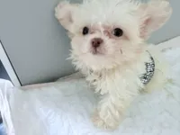 processed/8c20f172-a679-4910-9988-a281b8da09e1/listing/fe41f79d-c313-4c13-a90e-78f182693a19/faced811-06ba-4e85-b723-8d90679a23e2