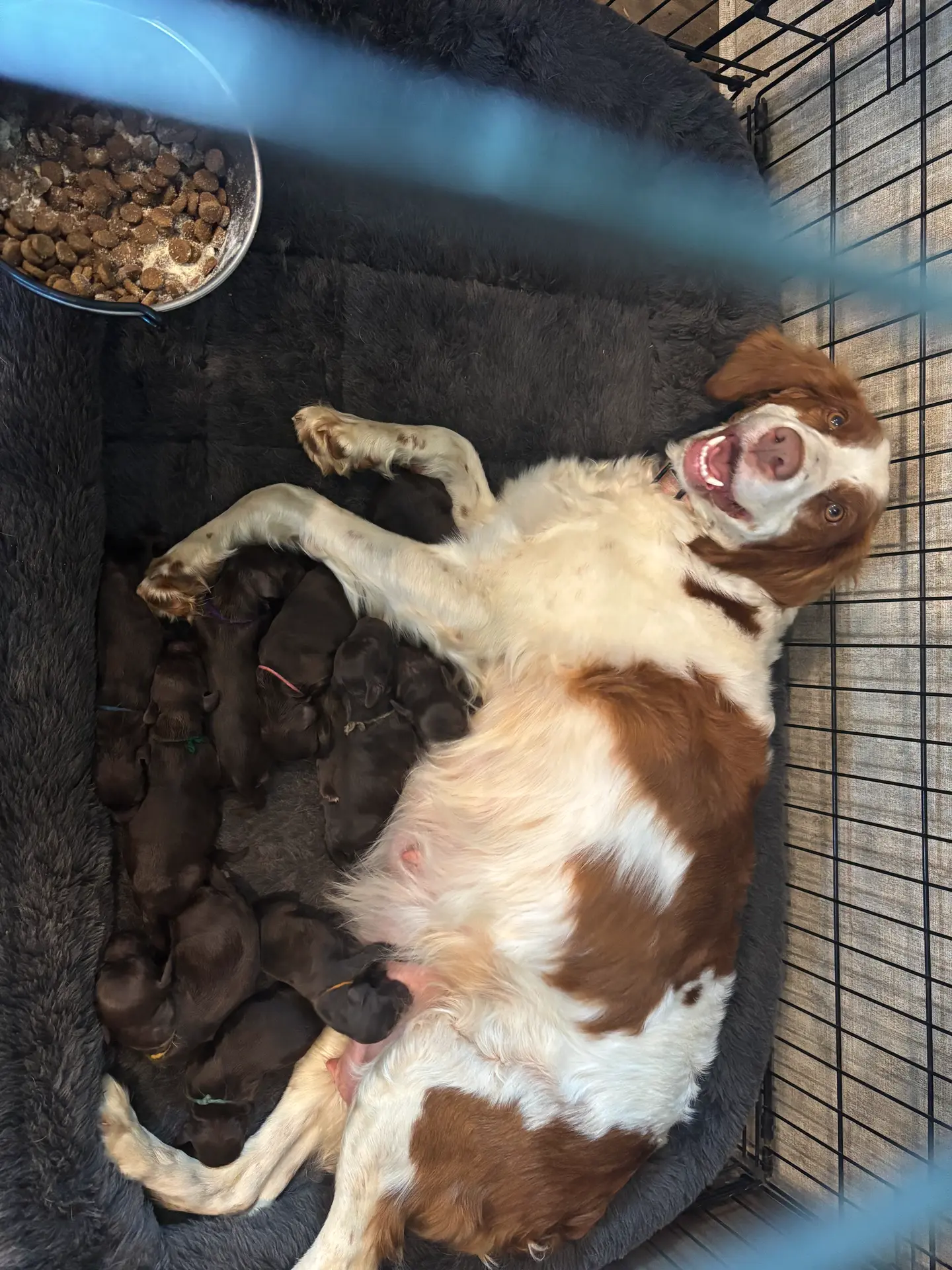 processed/8c218ab9-ad4f-4d3d-84cd-1ce091402644/facility/8303d616-0699-4a94-8579-bf5fe7365481