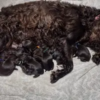 processed/8c218ab9-ad4f-4d3d-84cd-1ce091402644/facility/ab0b378d-8aaf-4cea-8e5a-7909f9ddcd94