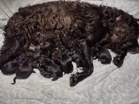 processed/8c218ab9-ad4f-4d3d-84cd-1ce091402644/facility/ab0b378d-8aaf-4cea-8e5a-7909f9ddcd94