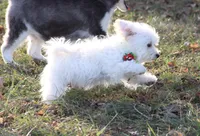 processed/8c21e2e5-3f84-4f03-b08e-65990c2d58d6/listing/01d60a63-8546-43ae-958b-d798399b9b79/0febaa2d-8464-4486-aff4-975a13ac5524