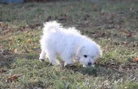 processed/8c21e2e5-3f84-4f03-b08e-65990c2d58d6/listing/01d60a63-8546-43ae-958b-d798399b9b79/3c2d104b-4095-4998-b67b-872838b52082