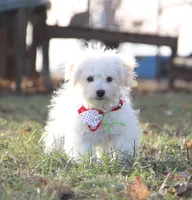 processed/8c21e2e5-3f84-4f03-b08e-65990c2d58d6/listing/01d60a63-8546-43ae-958b-d798399b9b79/a7536728-a07d-4516-b061-6353d4ce3498