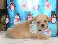 processed/8c21e2e5-3f84-4f03-b08e-65990c2d58d6/listing/6992af3f-10f4-414e-9281-f0dfde53d6bf/3d2fc23c-4f47-47bc-bc34-091e2984646b